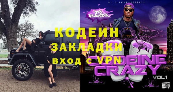 хмурый Семилуки