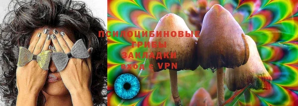 spice Алексин